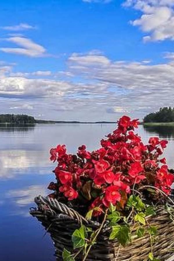Дома для отпуска Holiday Home Piharanta Сийлинъярви-8
